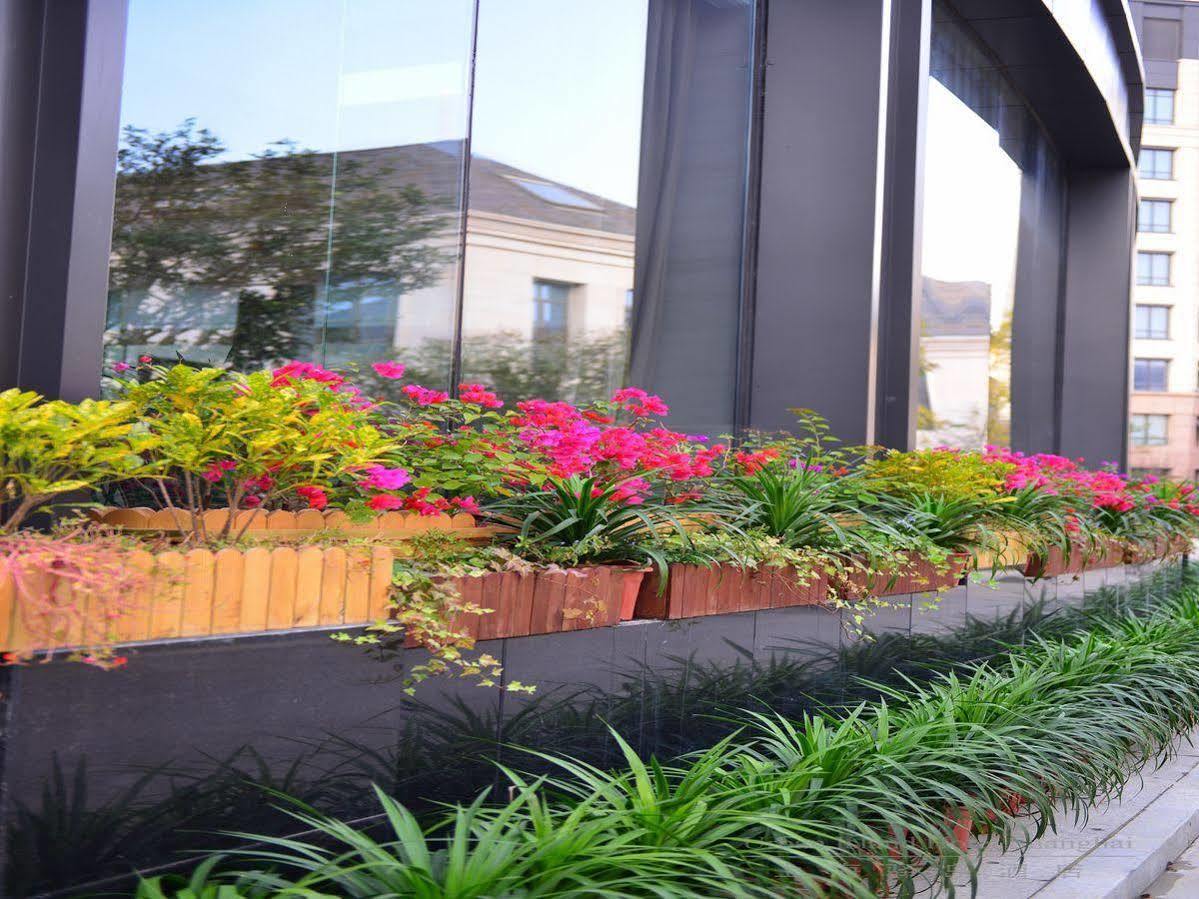 Urban Island Hotel Shanghai Exterior photo